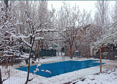 Piscina Climatizada y Jardín